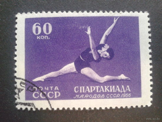 СССР 1956 гимнастика