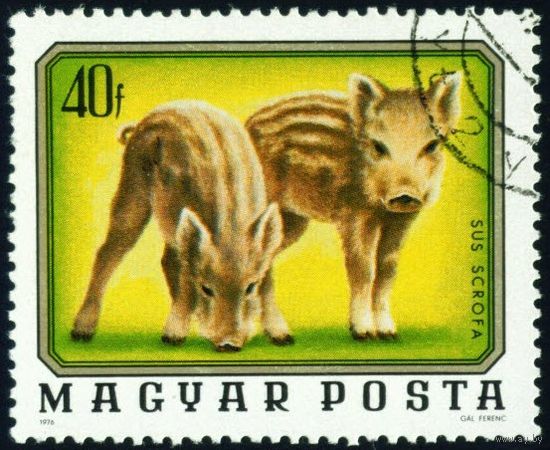 Дикие животные Венгрия 1976 год 1 марка