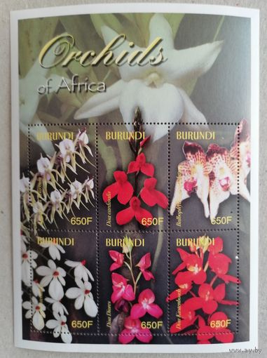 Цветы. Орхидеи Африки.