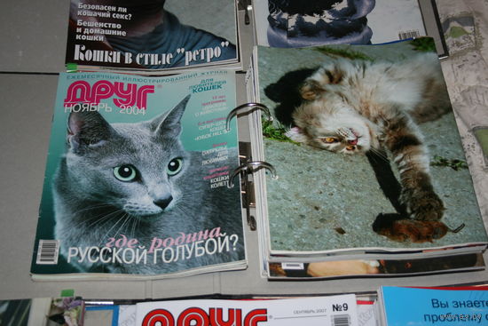 Журнал "Друг для любителей кошек" (2001-2008)