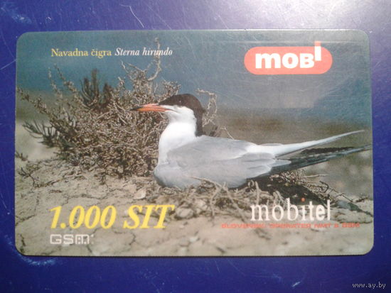 Словения 2001 чайка