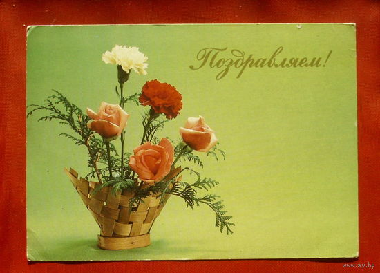 Поздравляем! Чистая. 1983 года. Фото Бабайлова. 1786.