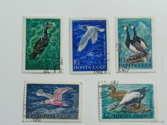 1972 СССР. Водоплавающие птицы. Полная серия