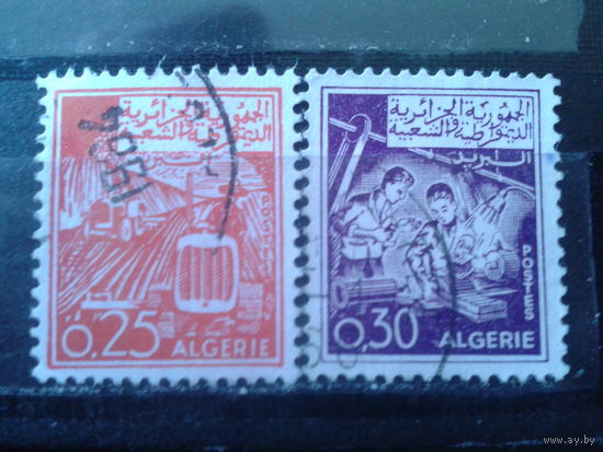 Алжир 1964-5 Стандарт, работа