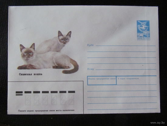 ХМК. 1989. Сиамская кошка