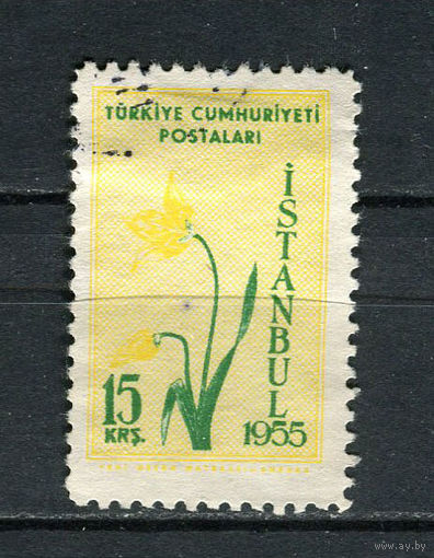 Турция - 1955 - Цветы 15К - [Mi.1424] - 1 марка. Гашеная.  (LOT EJ6)-T10P2