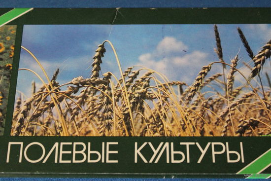 Набор открыток "Полевые культуры", 1985 год, Комплект из 15 открыток. Можно использовать в обучении