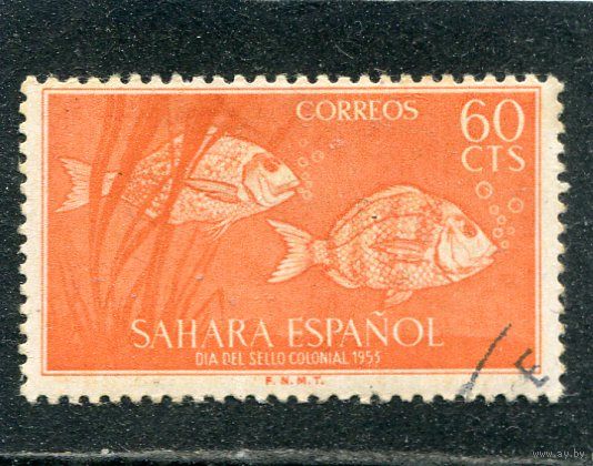 Испанская Сахара. Рыбы