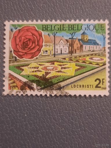 Бельгия 1969. Флористика. Ландшафтный дизайн. Lochristi
