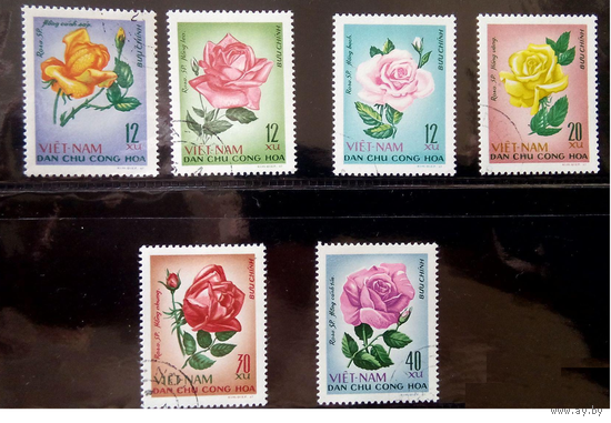 1967г Вьетнам Цветы Розы Флора (С)