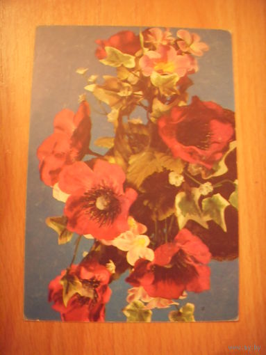 1993 Беларусь фирма Дагеон цветы