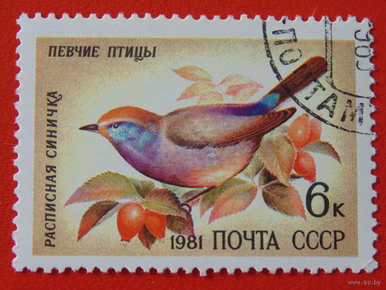 СССР 1981 г. Фауна.