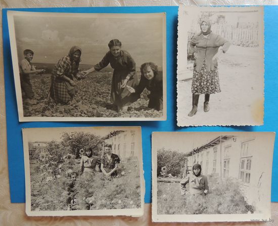 Фото "Баба Марыля", Слуцк, 1955 г., 4 шт. (11*8 см)