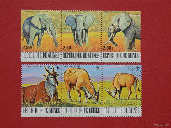 Гвинея 1977 г. Фауна.
