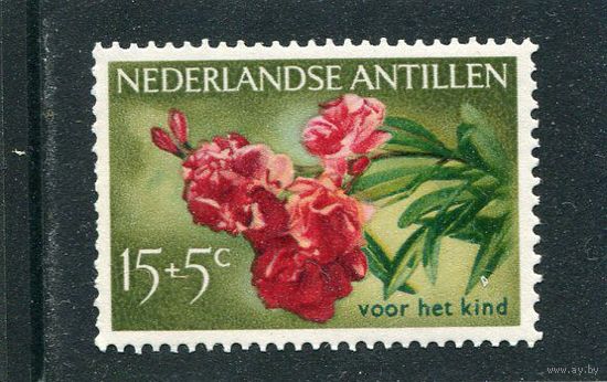 Нидерландские Антильские острова. Цветы. Индийский олеандр