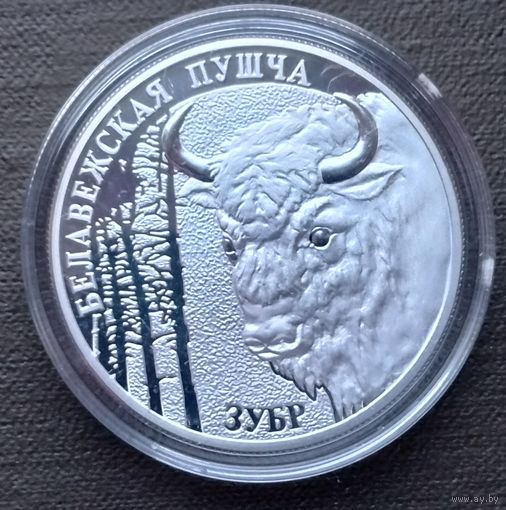 Серебро 0,925! Беларусь 20 рублей, 2001 Беловежская пуща - Зубр