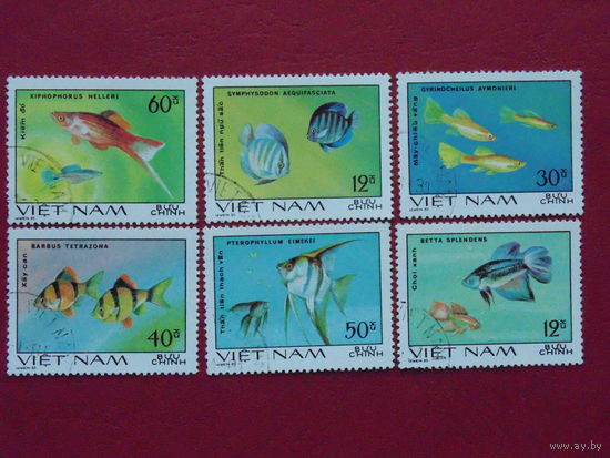 Вьетнам 1980г. Рыбы.