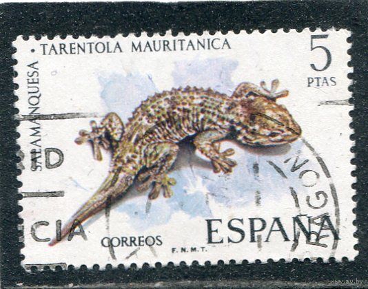 Испания. Фауна. Рептилии