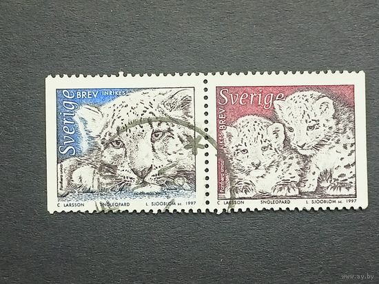 Швеция 1997. Животные Северной Европы. Снежные леопарды. Сцепка