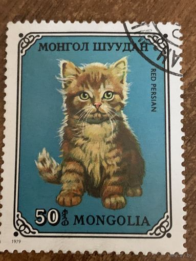 Монголия 1979. Домашние кошки. Red Persian. Марка из серии