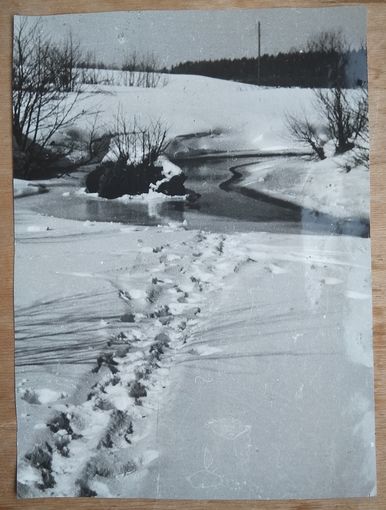 Художественное фото "Зимний мотив" (автор П.Никитин) 16х22 см. 1970-80-е