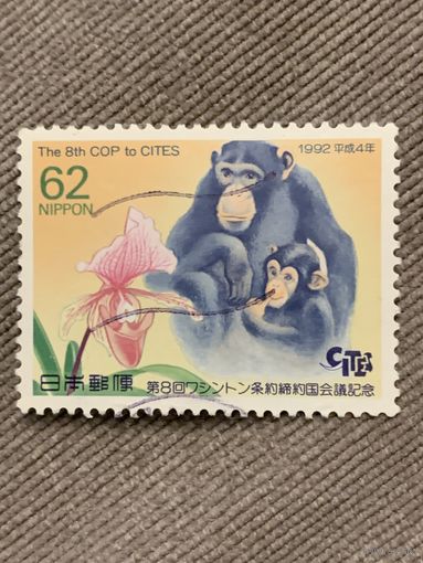 Япония 1992. Шимпанзе. Марка из серии