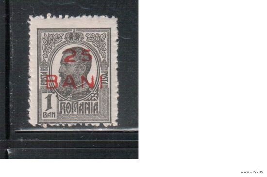 Румыния-1918, (Мих.237)  * , Стандарт, Король Карл I ,Надп.