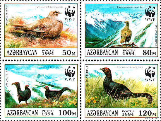WWF. Тетерев Азербайджан 1994 год серия из 4-х марок в квартблоке