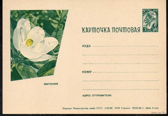 Почтовая карточка "Магнолия" СССР 1963 год
