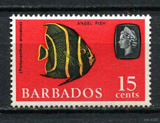 Британские колонии - Барбадос - 1965/1967 - Морская фауна 15С - [Mi.243X] - 1 марка. MH.  (Лот 76Dh)