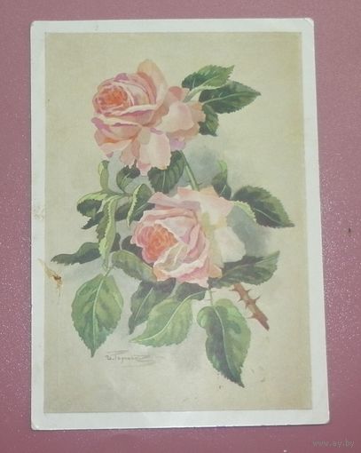 Почтовая карточка "Роза розовая" 1958г. подписанная худ. И.Романов
