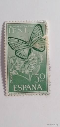 Ифни 1963. Бабочки
