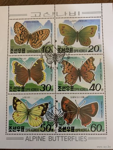 КНДР 1991. Бабочки. Малый лист