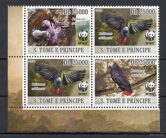 Попугаи Сан-Томе и Принсипи 2009 год серия из 4-х марок в квартблоке