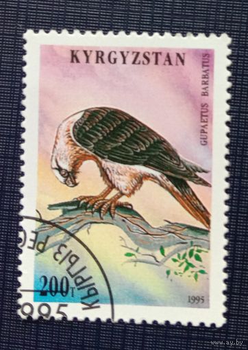 Марка Кыргызстан 1995 Хищная птица бородач