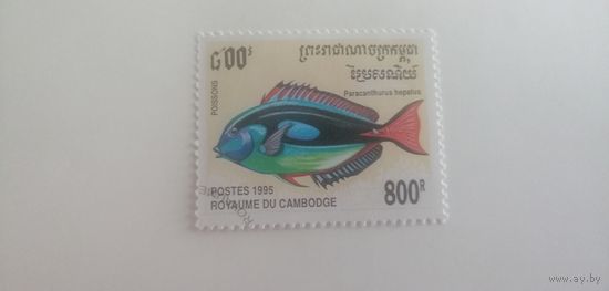 Камбоджа 1995. Рыбы.