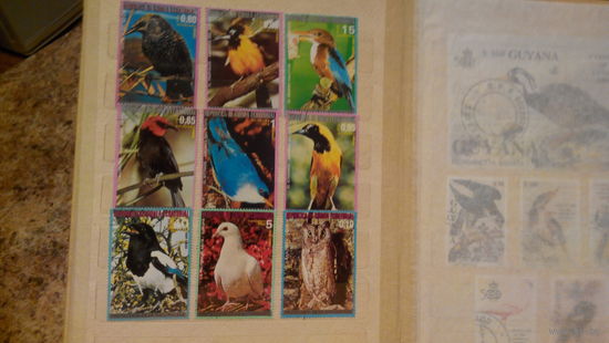 Птицы, фауна, совы, голуби и др, марки, Гвинея