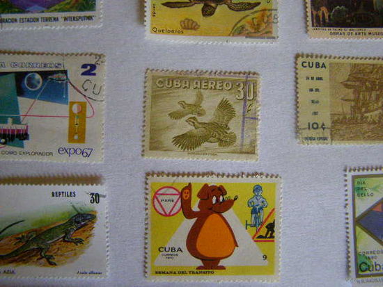 Куба 1956 Авиапочта Птицы сер 1 марка