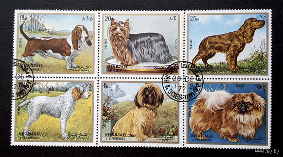 Шарджа, ОАЭ 1972 г. Собаки. Фауна, полная серия из 6 марок, сцепка #0134-Ф1