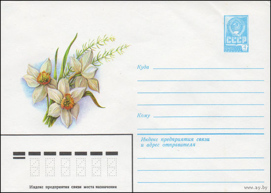 Художественный маркированный конверт СССР N 14401 (25.06.1980) [Нарцисс узколистный]