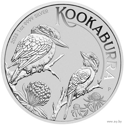 Австралия, 1 доллар,2023г. "Кукабарра" монета серебро