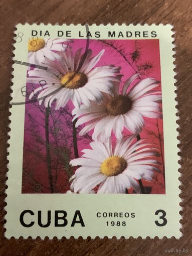 Куба 1988. День матери. Полная серия