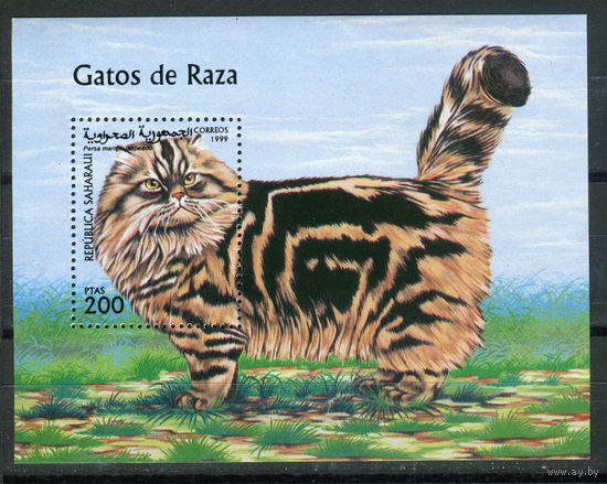 Сахара - 1999г. - Кошки - полная серия, MNH с незначительным дефектом клея - 1 блок