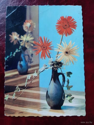 Цветы 1962 год спецгашение марки