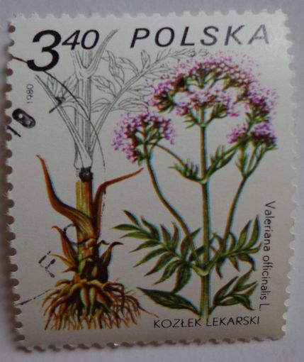Польша.1980.растения