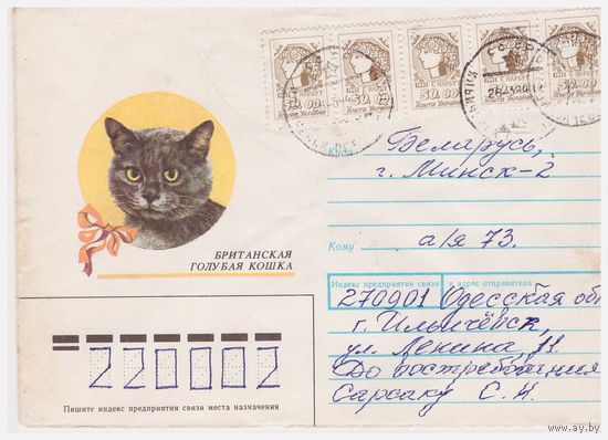 Конверт СССР, прошедший почту. Британская голубая кошка