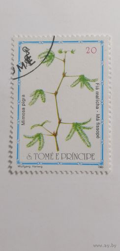 Сан Томе и Принсипи 1983. Медицинские растения.