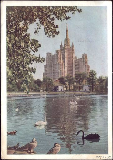1963 год А.Богданов Московский зоопарк.Большой пруд 558