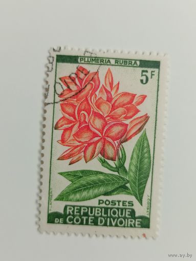 Кот-д'Ивуар 1961. Цветы