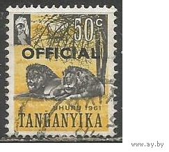 Танганьика. Львы. Служебная марка. 1961г. Mi#103.